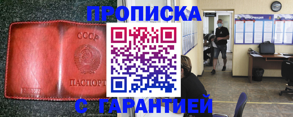 прописка гарантия в Тынде